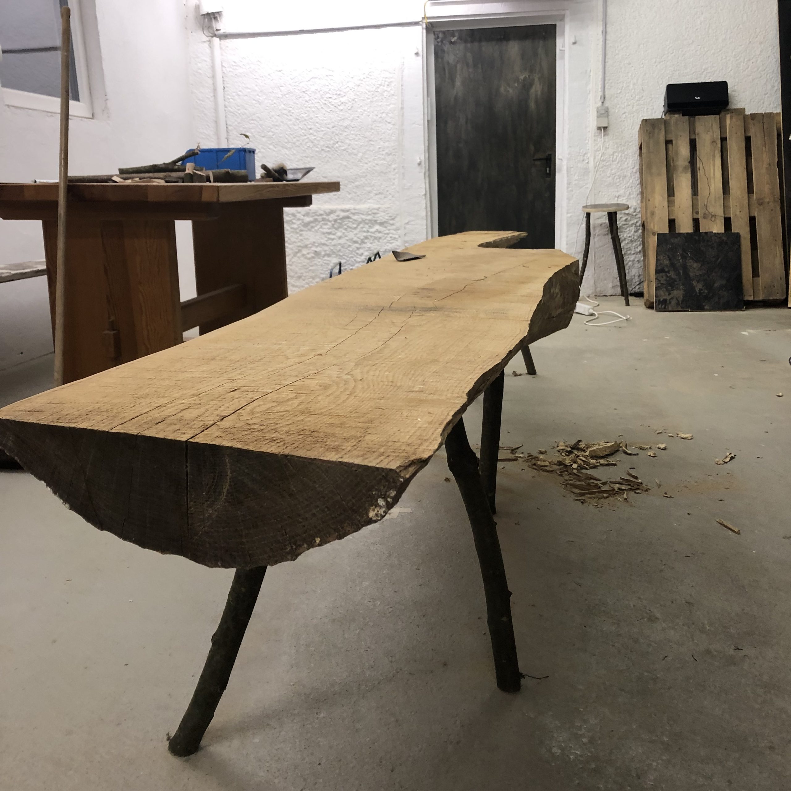 Lernt den Tausendfüßler kennen!